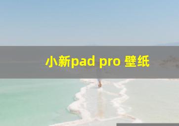 小新pad pro 壁纸